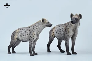 JXK 1/6 African Hyena Model Wild Animal Hyaenidae Figure Scene Decor Collection - Picture 1 of 47