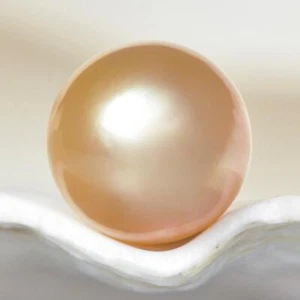 South Sea Pearl Golden Round 10.50 mm from Papua New Guinea 1.66 g undrilled - Picture 1 of 7