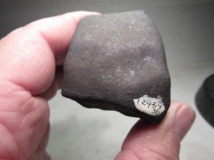 MUSEUM # 12934.36 PROBEN! FRISCH VERKRUSTETER WILUNA AUSTRALISCHER METEORIT 156,12 GMS - Bild 1 von 9