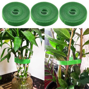 3 Rolls 2M/Rolls Garden Plant Support Tie Green Strap Wrap Ties Tape Protection