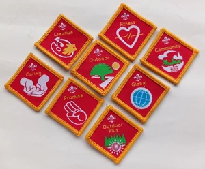 Discontinued Cub Scout Challenge Badges 2002-20015 new - Picture 1 of 17