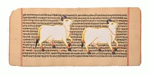 Pintura de animal de vaca adorada en manuscrito sánscrito 5,5 x 12 pulgadas "PN13384" - Imagen 1 de 1