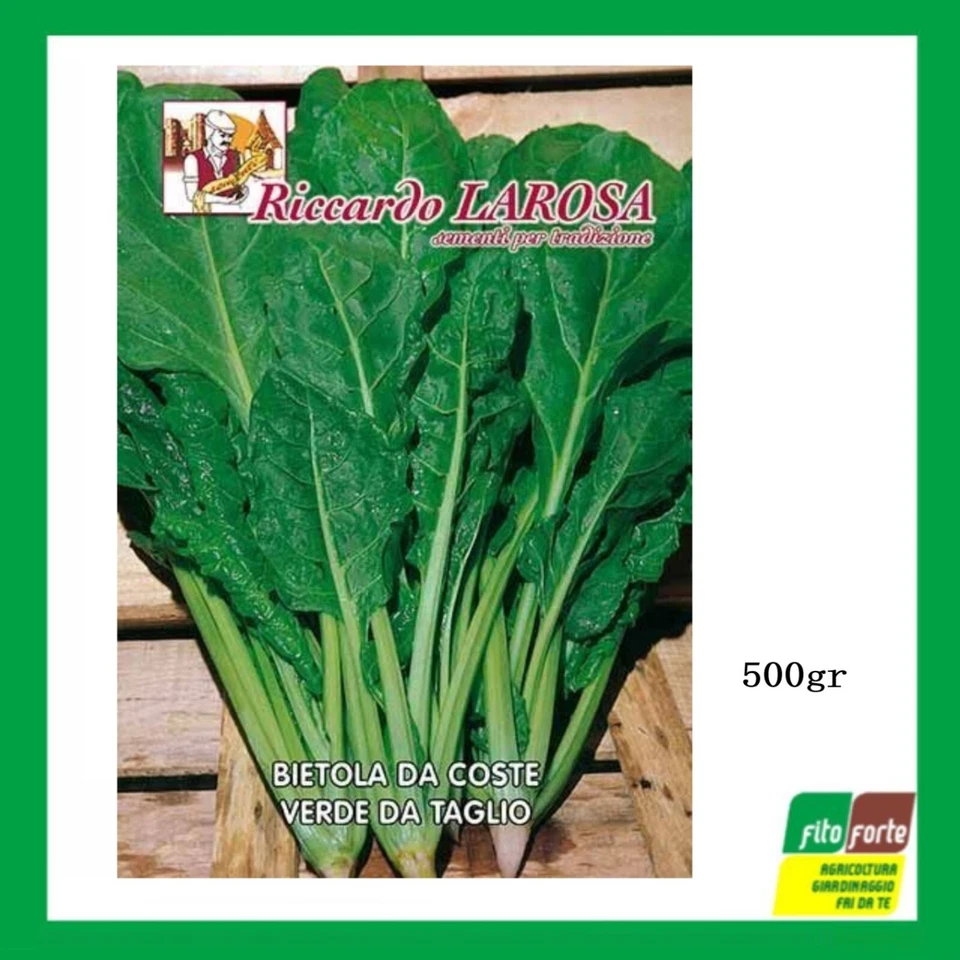 SEMI BIETOLA DA COSTE VERDE DA TAGLIO "RICCARDO LA ROSA" 500GR SEMENTI ORTO - Immagine 1 di 2