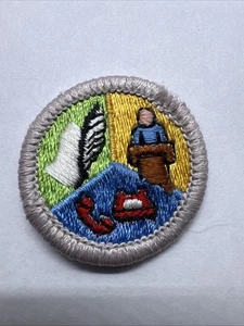 Distintivo merito comunicazione BSA -Tipo H 1972-2002 retro plastica - Foto 1 di 1