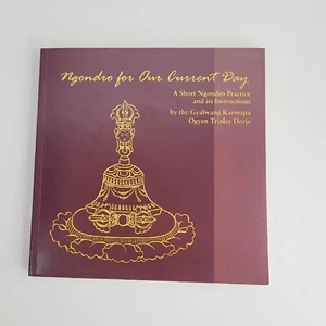 Ngondro for Our Current Day: A Short Ngondro Practice Instructions Ogyen Dorje - Picture 1 of 6