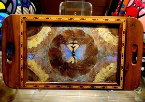 Vintage Brazilian Butterfly 🦋 Wood Serving Tray Glass 16.5x9 Estate Piece - Picture 1 of 6