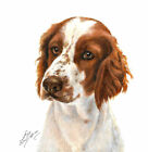 ✪ PEINTURE ORIGINALE portrait à l'huile WELSH SPRINGER SPANIEL artiste signé art canin