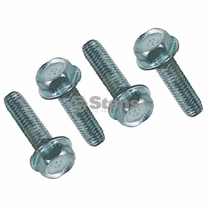 Tornillo de cabeza hexagonal reemplaza AYP 173984 - Imagen 1 de 1
