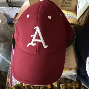 University of Arkansas Razorbacks Signatures Adjustable Hat Cap Men Women NCAA - Picture 1 of 12