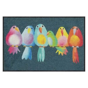 Salonloewe Rainbow Birds Fußmatte waschbar 50x75 cm - Bild 1 von 10