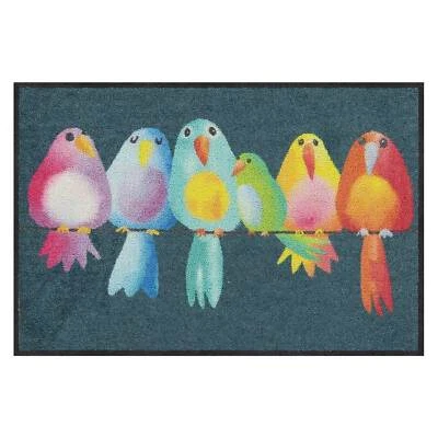 Salonloewe Rainbow Birds Fußmatte waschbar 50x75 cm - Bild 1 von 4