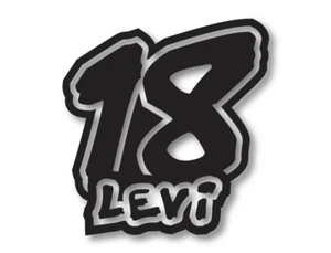 Set of 3 Custom Personalised Race Numbers Vinyl Decals CUSTOMER REQUESTED SIZE - Picture 1 of 1