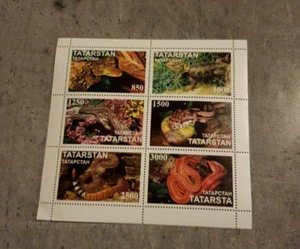 TATARSTAN- SNAKES- REPTILES- MINIATURE SHEET- MNH - Picture 1 of 1