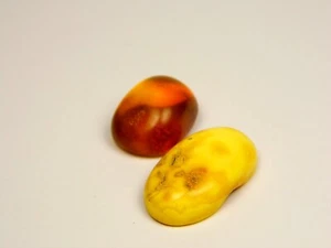 Lot of 2 Baltic Amber Cabochon Stones Yellow Brown Multicolor Natural 6706 - Bild 1 von 7