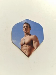 Novelty Hunky Men Dart Flights Great For Hen Do/Birthdays - Picture 1 of 1