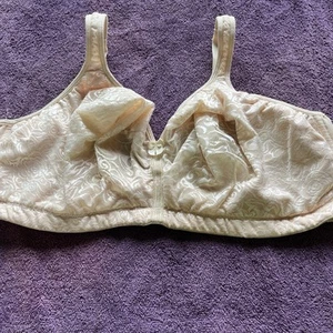 Breezies Women's Bra Sz 48DDD Nude Seamless Wirefree Support Ivory A260367 - Picture 1 of 3