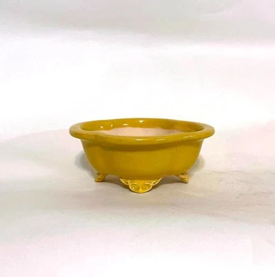 Olla Bonsai Tokoname Japonesa / Hecha por Shozan 10 cm (3,9") Amarillo Mokko Foto 1 de 4