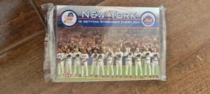 2002 FLEER NEW YORK METS PROJECT LIBERTY 15 CARD SET MIKE PIAZZA SGA - Picture 1 of 2