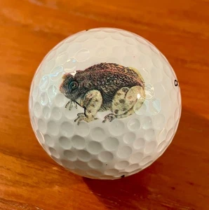 Dooks Golf Club (Ireland) Logo Golf Ball - Picture 1 of 2