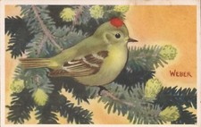ARTIST SIGNED - Weber:  Ruby Crowned Kinglet - National Wildlife Federation