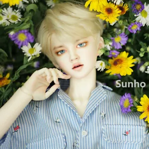 FULL SET 1/3 BJD Doll Boy Male Resin Body +Free Eyes + Face Makeup Wig Hair GIFT - Bild 1 von 9