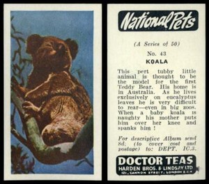 Koala #43 National Pets 1961 Doctor Teas Card