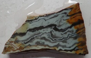 WRG- Buffalo Horn Picture Jasper Slab 24 grams Wyoming Lapidary - Bild 1 von 4