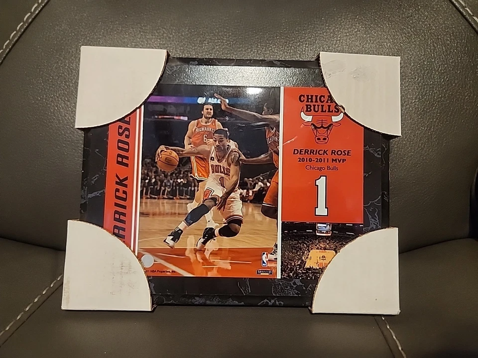 Derrick Rose Chicago Bulls placa montada recuerdos NBA 8x10 Foto 1 de 4
