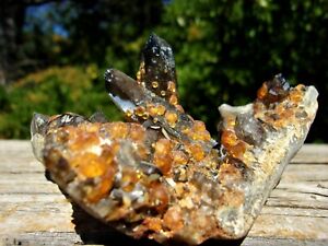 Garnet Crystal Chips 25g - Crystal Rock Collection Stone Gemstones,