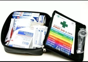 Toyota First Aid Kit Genuine Factory OEM Emergency PT420-03023 PT420-00220 NEW - Picture 1 of 11