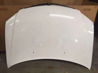 Hood White Fits 04-06 Chrysler Pacifica Foto 1 de 4