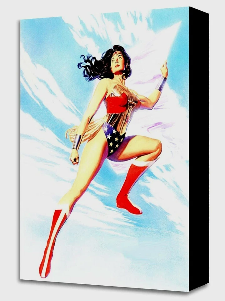 DC супергероиня Чудо-женщина невидимый самолет холст произведения искусства мини холст - Изображение 1 из 1