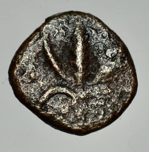 SALERNO - GUGLIELMO I RE 1154-1166 -AE/ FOLLARO - Picture 1 of 2