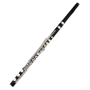 Ebony flute rofessional C Key 17 Hole Flute Musical Instruments With Case - Picture 1 of 6