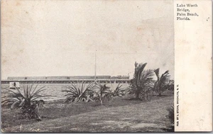c1900s PALM BEACH, Florida Postcard "Lake Worth Bridge" Palms / Panorama View - Picture 1 of 2