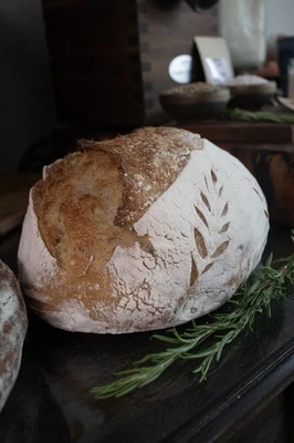 Arrancador de masa madre de centeno orgánico de 200+ años de antigüedad Cultures Foto 1 de 4
