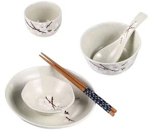 Nuovo piatto ciotola ceramica cucchiaio tazza con bacchette in legno stoviglie cinesi giapponesi - Foto 1 di 7