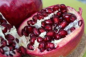 **Ruby Red Pomegranate Tree 2pcs Cuttings** Sweet - Picture 1 of 2