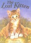 The Lost Kitten-Alison Allen-Gray, Joanne Moss