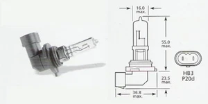 12 volt 60 watt HB3 Halogen headlamp bulb 9005 P20d (pair) - Picture 1 of 10
