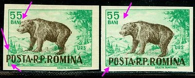 1956 Urso Marrom,Ursus Arctos,Animais Selvagens,Romênia,1618,IMPERFEITO,Erro de Variedade,MNH - Imagem 1 de 2