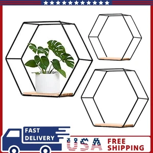 Hexagon Shelves Black Metal - Floating Geometric Hexagon Shelf Wall Mount - Picture 1 of 10