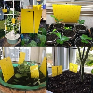 Lot Of 5 Sticky Fly Trap Paper Yellow Traps Fruit Flies Insect Glue Catcher - Picture 1 of 4