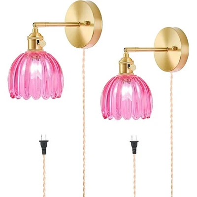 Juego de 2 apliques de pared enchufables de latón vintage con pantalla de vidrio luz ajustable nuevos Foto 1 de 4