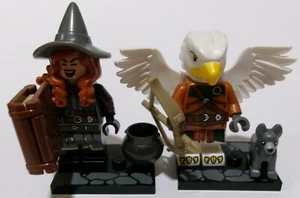 Lego Dungeons & Dragons LOT Tasha the Witch Queen & Aarakocra Ranger #71047 - Picture 1 of 7