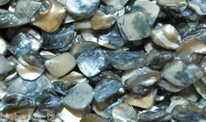 A string 16" light black dyed square shell nuggets beads 17-18mm DIY Craft - Picture 1 of 1