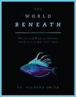 Richard Smith The World Beneath (Hardback)