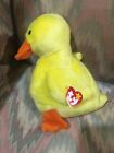1998 TY BEANIE  BUDDY~QUACKERS THE YELLOW EASTER DUCK     NEW