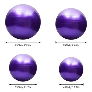 Anti-burst Yoga Ball Thickened Stability Balance Ball Pilates Barre Physical HOT - Picture 1 of 9