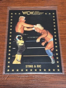 Tarjeta Sting & Ric Flair 1991 Championship Marketing WCW NWA #20 - Imagen 1 de 1